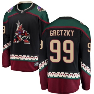 Men's Wayne Gretzky Arizona Coyotes Fanatics Branded Alternate Jersey - Breakaway Black