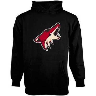 Youth Arizona Coyotes Men's Old Time Hockey Big Logo Fleece Pullover Hoodie - - Black