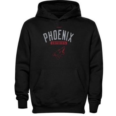 Youth Arizona Coyotes Reebok Men's Phoenix Acquisition Fleece Pullover Hoodie - - Black